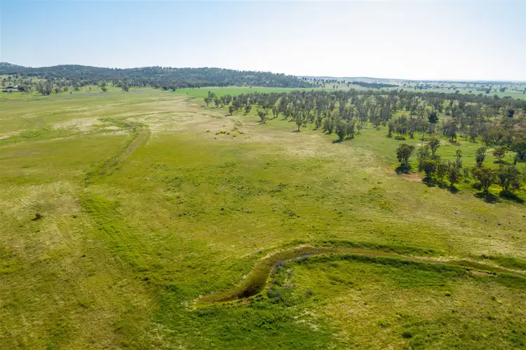 Third view of Homely rural property listing, "Strathnoon"  & "Bodels", West Wyalong NSW 2671