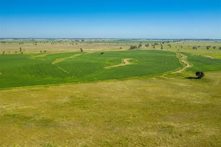 Fourth view of Homely rural property listing, "Strathnoon"  & "Bodels", West Wyalong NSW 2671