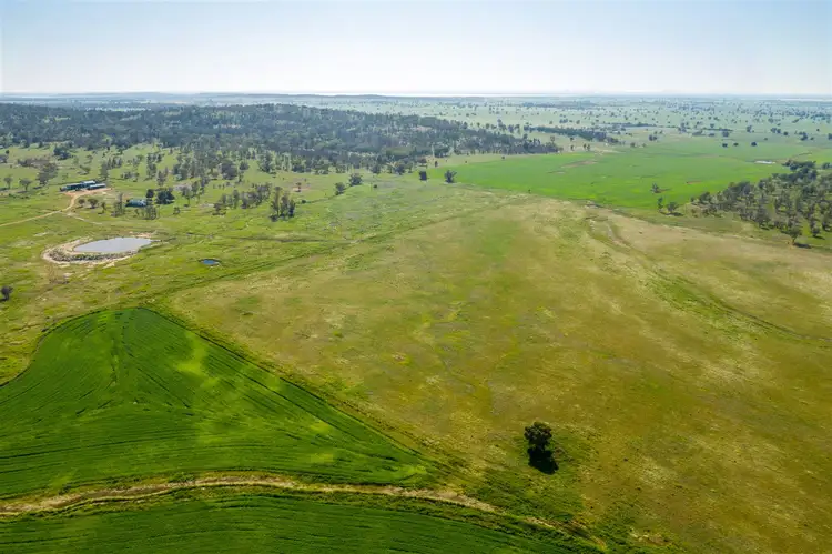 Fifth view of Homely rural property listing, "Strathnoon"  & "Bodels", West Wyalong NSW 2671