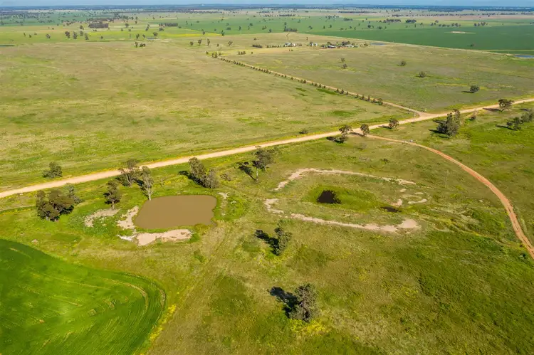 Sixth view of Homely rural property listing, "Strathnoon"  & "Bodels", West Wyalong NSW 2671