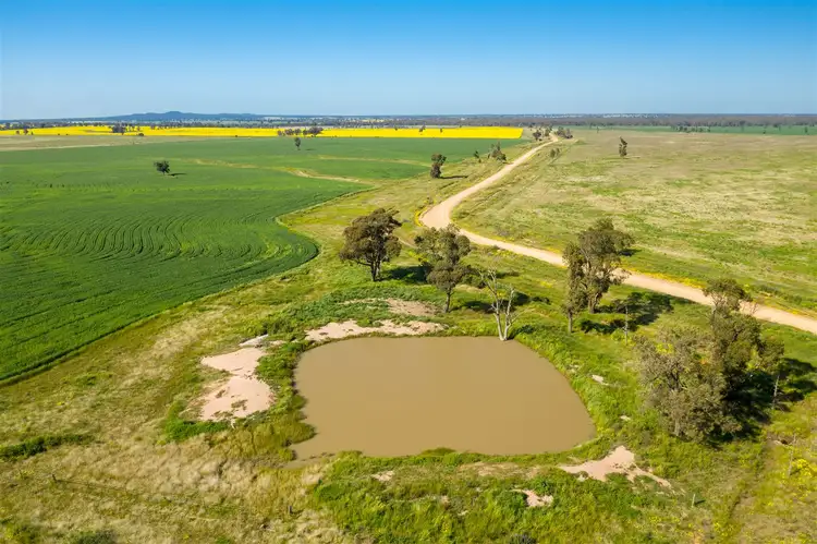 Seventh view of Homely rural property listing, "Strathnoon"  & "Bodels", West Wyalong NSW 2671