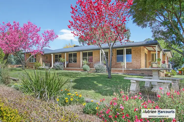Main view of Homely rural property listing, 853 Black Gully Road, Werris Creek NSW 2341