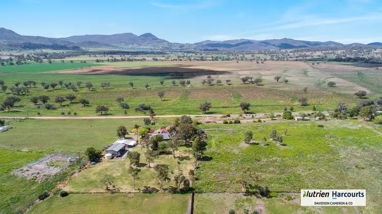 Third view of Homely rural property listing, 853 Black Gully Road, Werris Creek NSW 2341