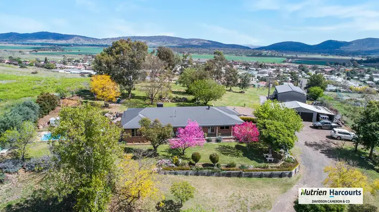 Fourth view of Homely rural property listing, 853 Black Gully Road, Werris Creek NSW 2341