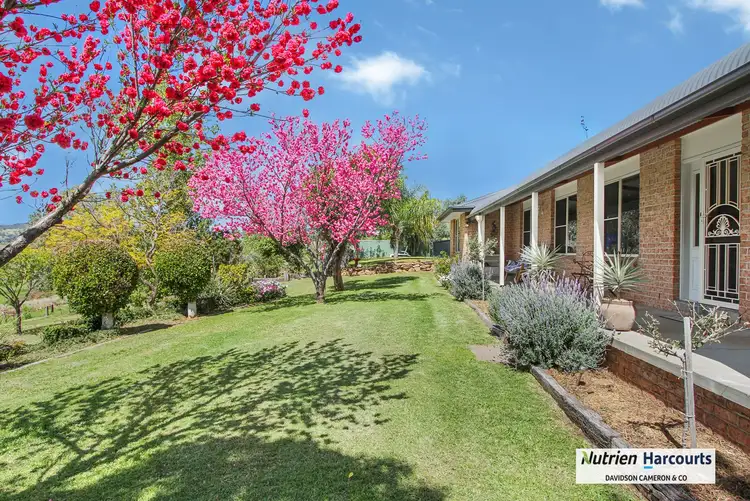 Fifth view of Homely rural property listing, 853 Black Gully Road, Werris Creek NSW 2341