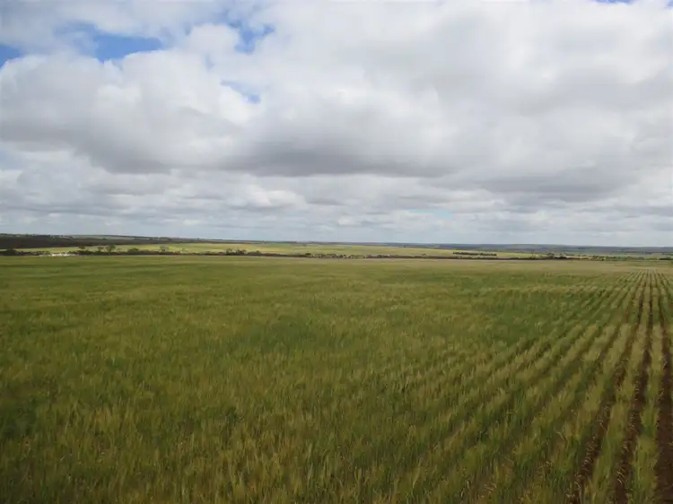 Main view of Homely rural property listing, Address available on request