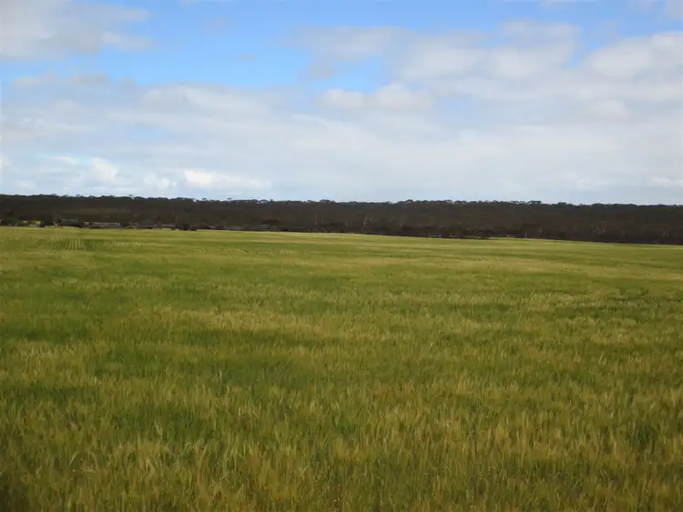 Second view of Homely rural property listing, Address available on request
