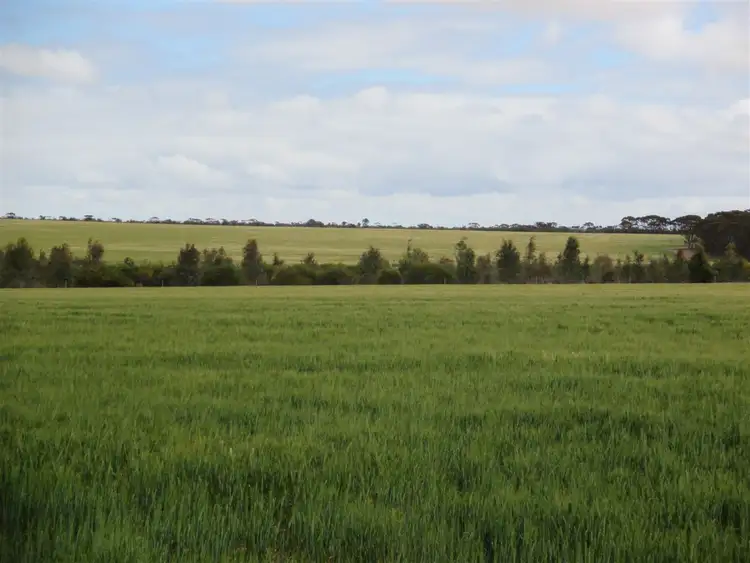 Fifth view of Homely rural property listing, Address available on request