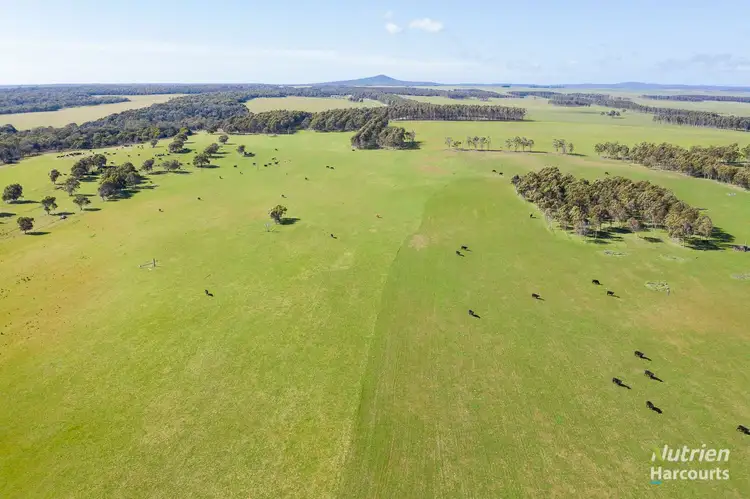 309 Musselroe Road, Musselroe Bay TAS 7264