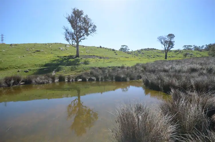 Main view of Homely rural property listing, Lot 1 Range Road, Rockleigh SA 5254