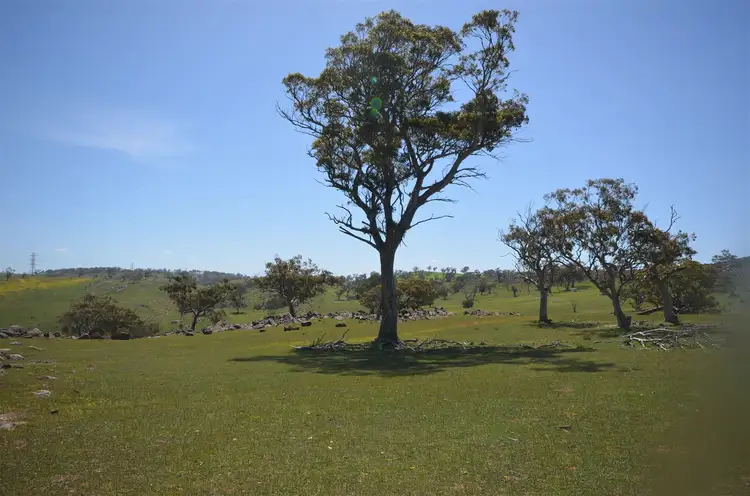 Second view of Homely rural property listing, Lot 1 Range Road, Rockleigh SA 5254