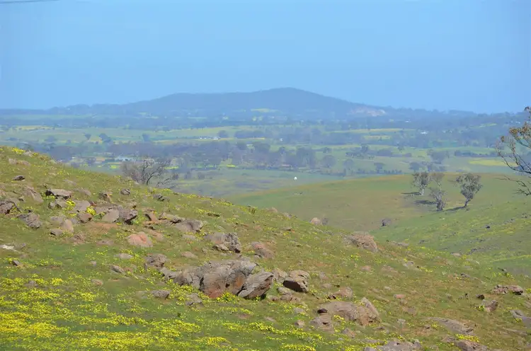 Fourth view of Homely rural property listing, Lot 1 Range Road, Rockleigh SA 5254