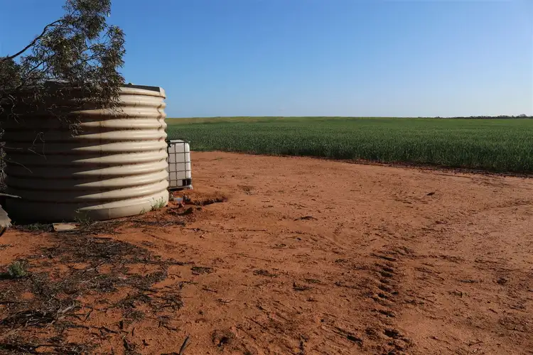 Second view of Homely rural property listing, . Mallee Highway, Manangatang VIC 3546