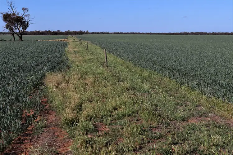 Fifth view of Homely rural property listing, . Mallee Highway, Manangatang VIC 3546