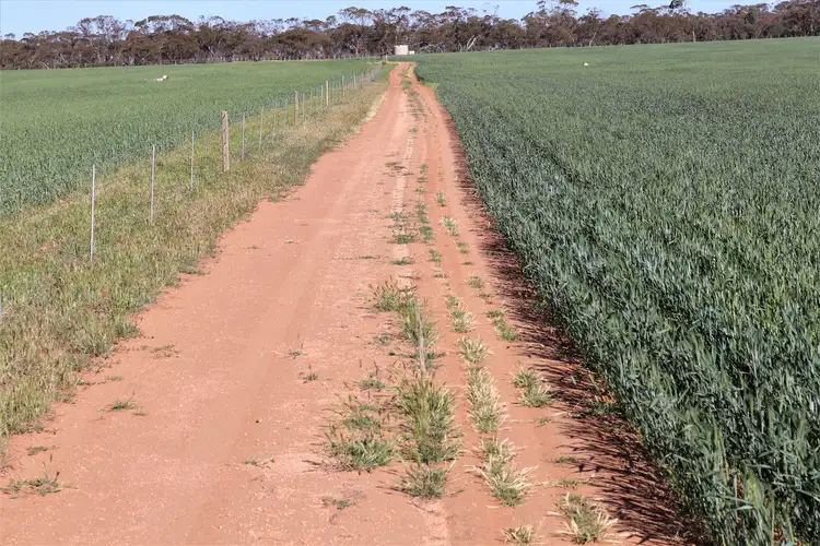 Sixth view of Homely rural property listing, . Mallee Highway, Manangatang VIC 3546