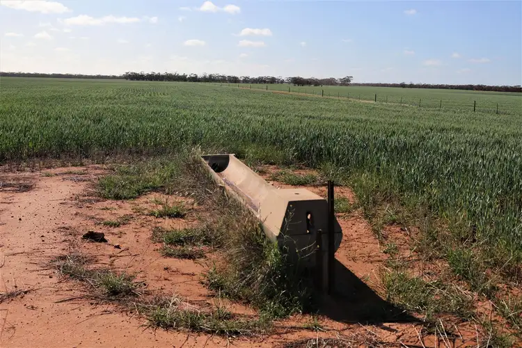 Seventh view of Homely rural property listing, . Mallee Highway, Manangatang VIC 3546