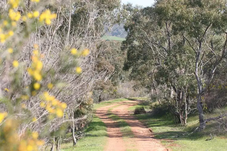 Second view of Homely rural property listing, Lot 8 Allendale Rd, Yattalunga SA 5114