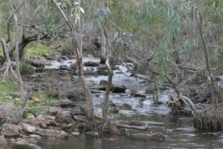 Sixth view of Homely rural property listing, Lot 8 Allendale Rd, Yattalunga SA 5114