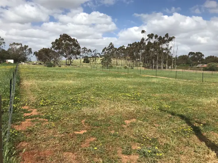 17 Shannon Street, Kapunda SA 5373