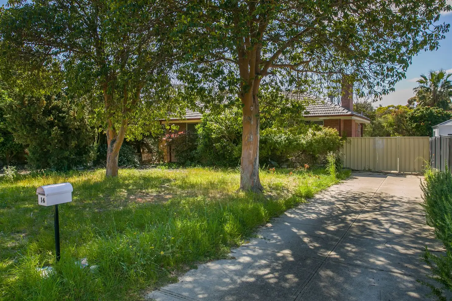 Main view of Homely house listing, 14 Hillier Crescent, Hamilton Hill WA 6163