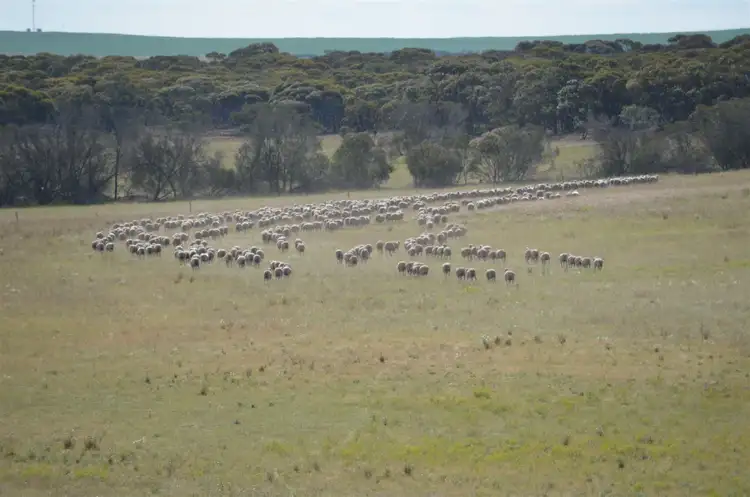 Second view of Homely rural property listing, Section 39 Rads Lane, Karoonda SA 5307
