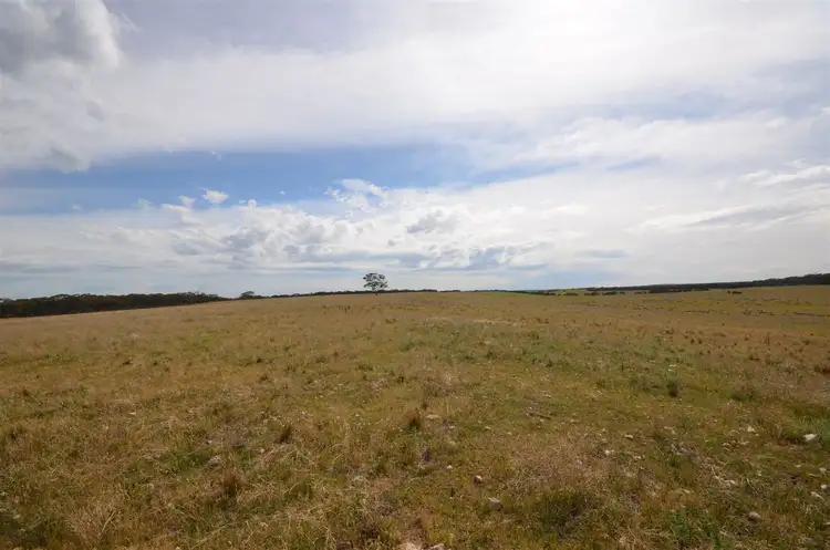 Fourth view of Homely rural property listing, Section 39 Rads Lane, Karoonda SA 5307
