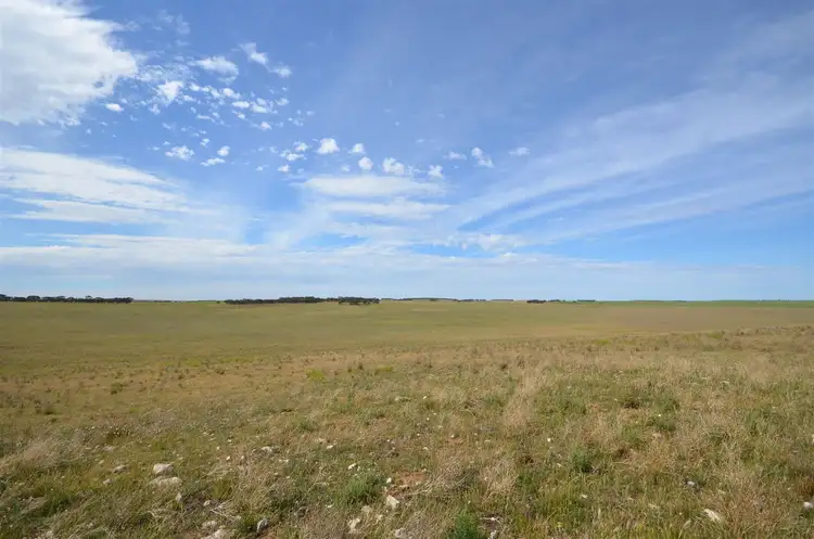 Sixth view of Homely rural property listing, Section 39 Rads Lane, Karoonda SA 5307