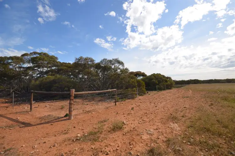 Seventh view of Homely rural property listing, Section 39 Rads Lane, Karoonda SA 5307