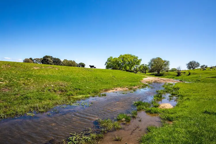 Second view of Homely rural property listing, 5616 Kings Highway, Braidwood NSW 2622