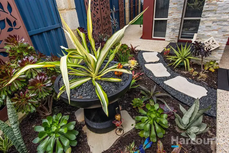 Fifth view of Homely house listing, 14 Chenin Court, Pearsall WA 6065