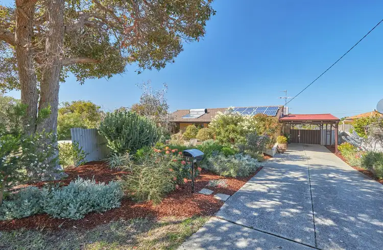 Main view of Homely house listing, 14 Jamy Place, Hamilton Hill WA 6163