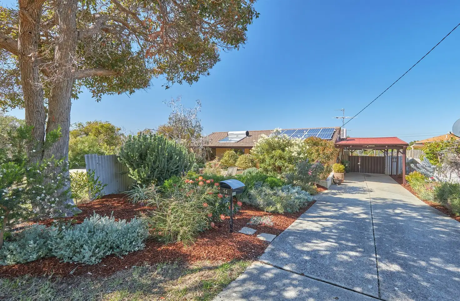Main view of Homely house listing, 14 Jamy Place, Hamilton Hill WA 6163