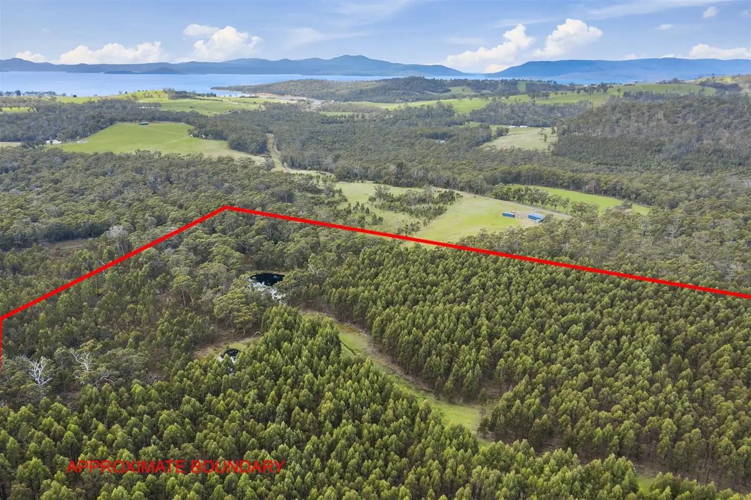 Main view of Homely rural property listing, . Dam Road, Saltwater River TAS 7186