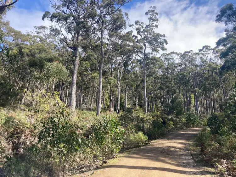 Second view of Homely rural property listing, . Dam Road, Saltwater River TAS 7186