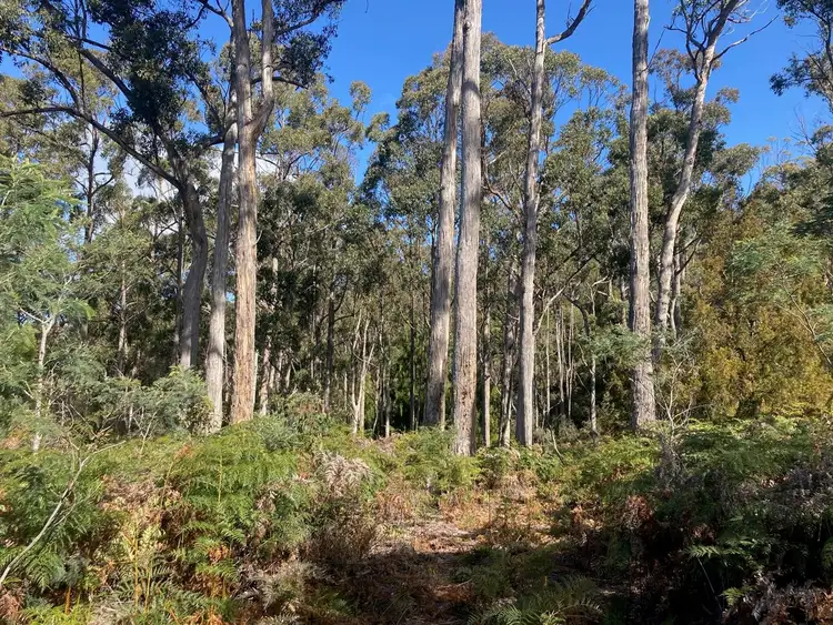 Third view of Homely rural property listing, . Dam Road, Saltwater River TAS 7186