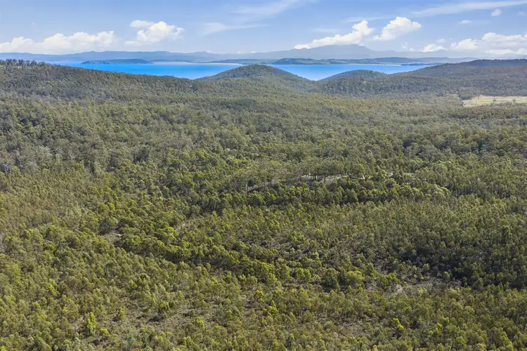Fourth view of Homely rural property listing, . Dam Road, Saltwater River TAS 7186