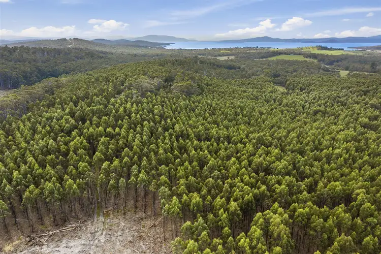 Fifth view of Homely rural property listing, . Dam Road, Saltwater River TAS 7186
