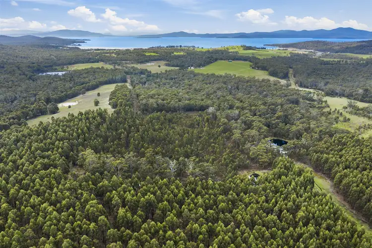Sixth view of Homely rural property listing, . Dam Road, Saltwater River TAS 7186