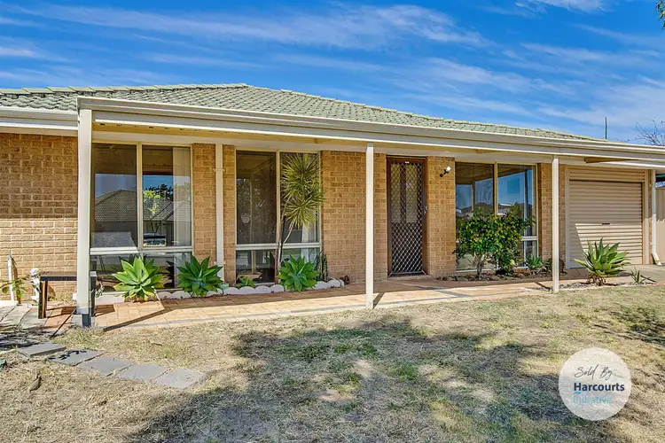 23 River Fig Place, Alexander Heights WA 6064