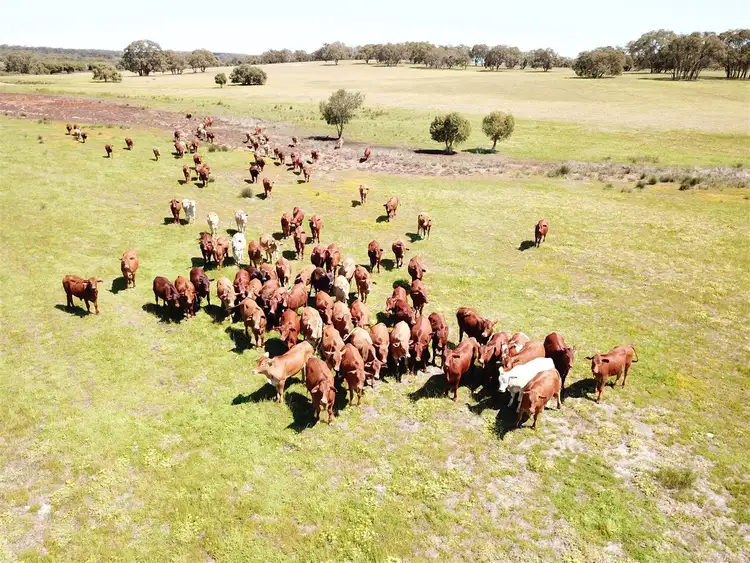 Sixth view of Homely rural property listing, Lot 405 Red Gully Road Mindarra, Gingin WA 6503