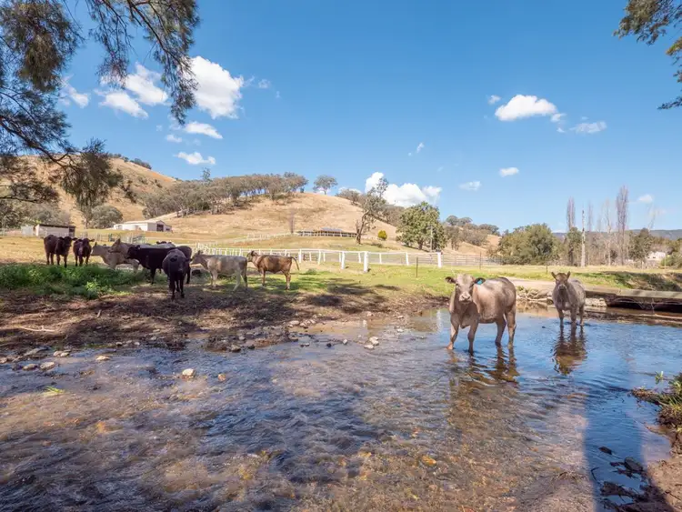 Second view of Homely rural property listing, Address available on request