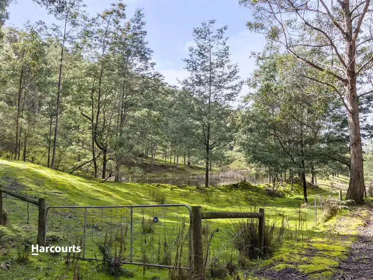 Sixth view of Homely land listing, 88 Carters Road, Port Huon TAS 7116