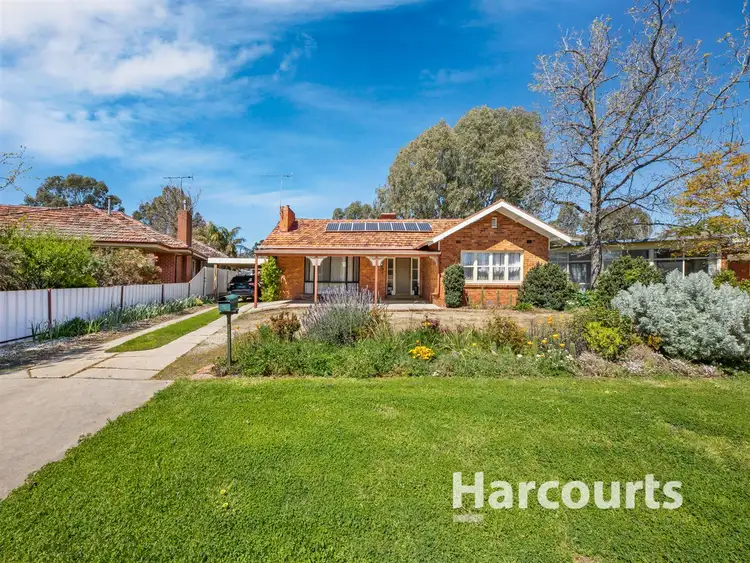 Main view of Homely house listing, 3 Bruck Court, Wangaratta VIC 3677