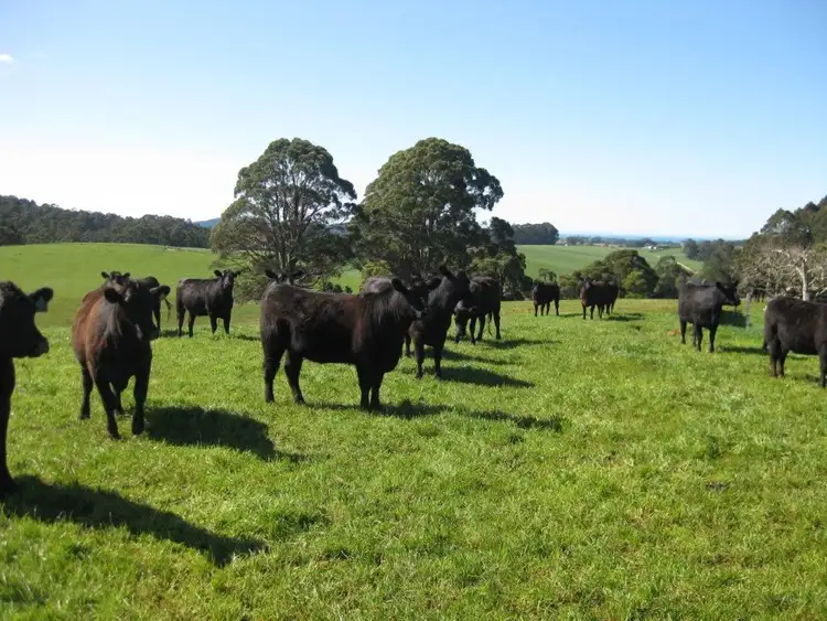 Second view of Homely rural property listing, 624 Myalla Road, Milabena TAS 7325