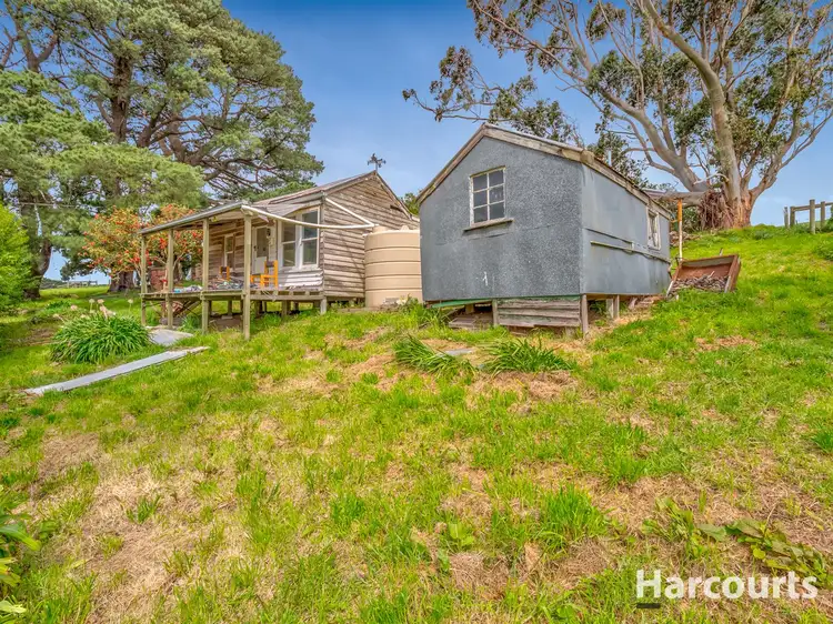 Fifth view of Homely rural property listing, 1611 Foster-Mirboo Road, Dumbalk North VIC 3956