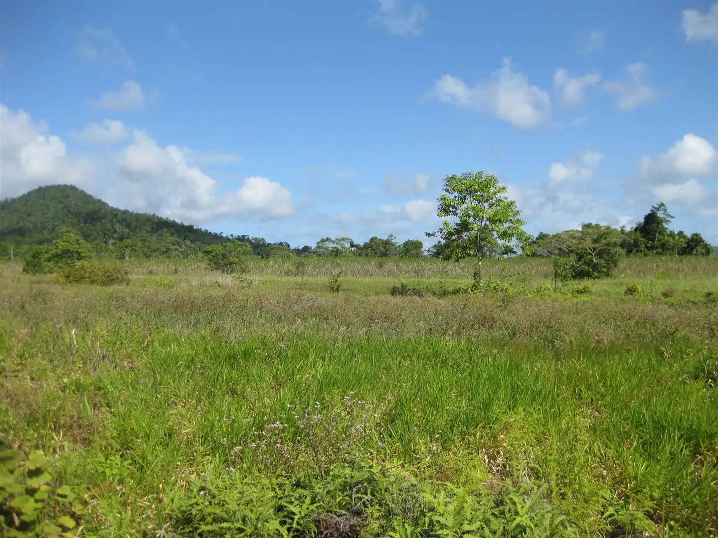 Main view of Homely rural property listing, Address available on request