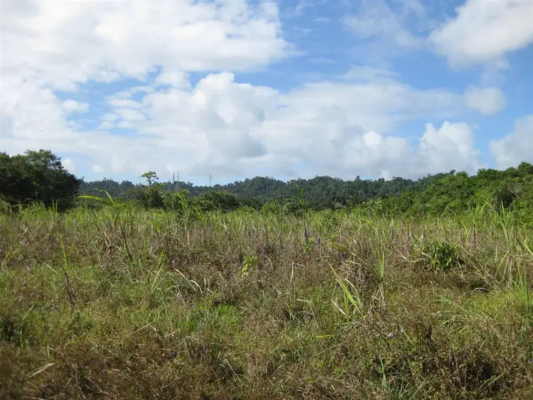 Sixth view of Homely rural property listing, Address available on request