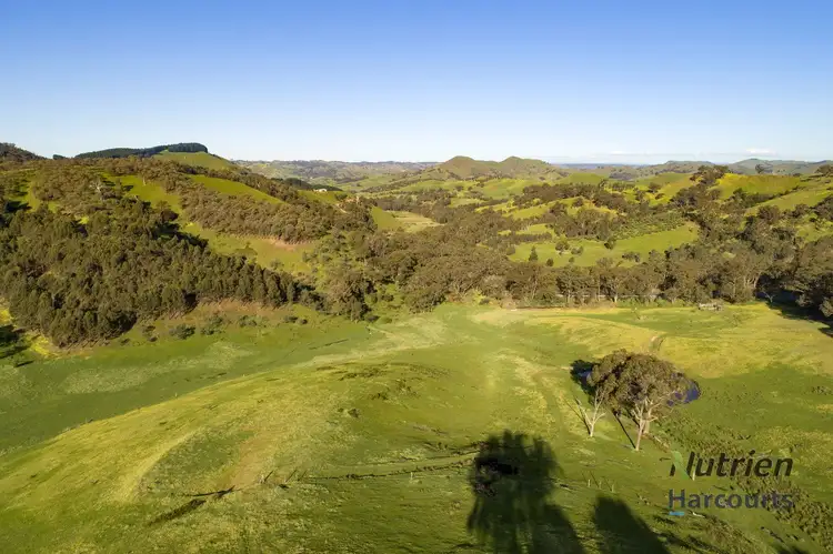 Third view of Homely rural property listing, 1409 Broadford-Flowerdale Road, Strath Creek VIC 3658