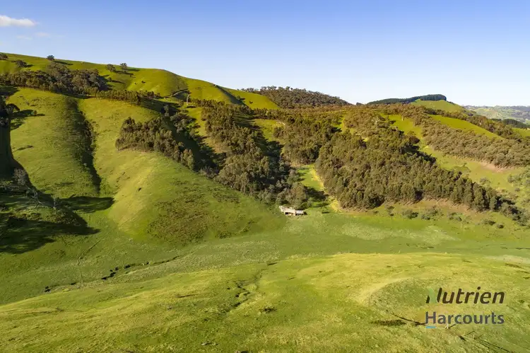 Fourth view of Homely rural property listing, 1409 Broadford-Flowerdale Road, Strath Creek VIC 3658