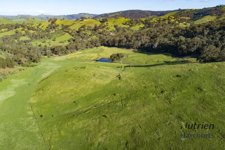Sixth view of Homely rural property listing, 1409 Broadford-Flowerdale Road, Strath Creek VIC 3658